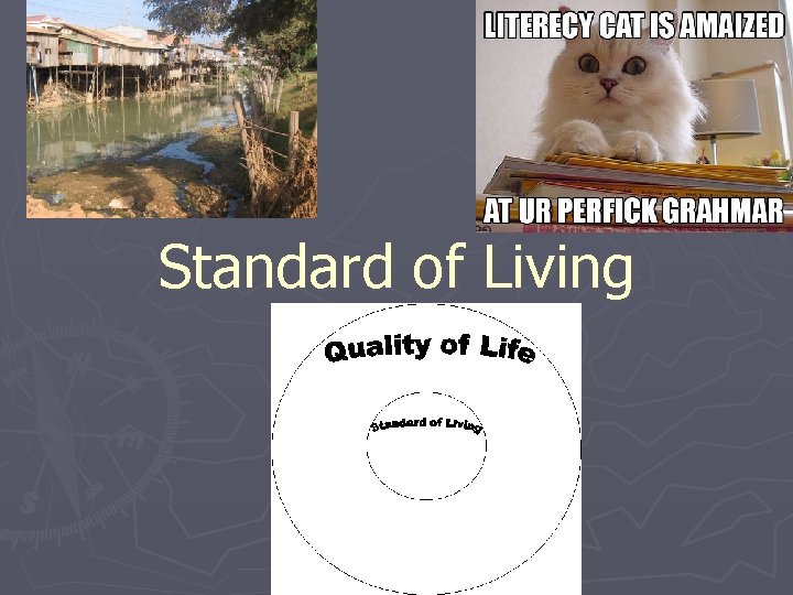 Standard of Living 