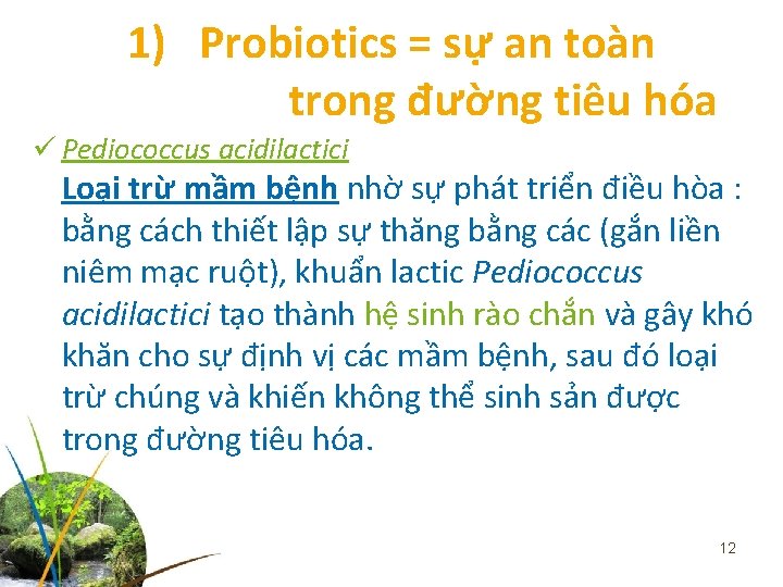 1) Probiotics = sự an toàn trong đường tiêu hóa ü Pediococcus acidilactici Loại