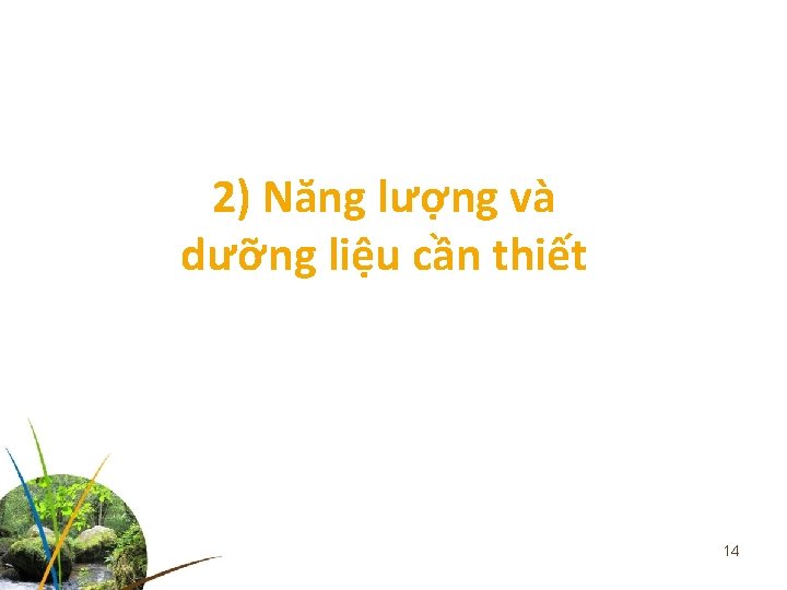 2) Năng lượng và dưỡng liệu cần thiết 14 