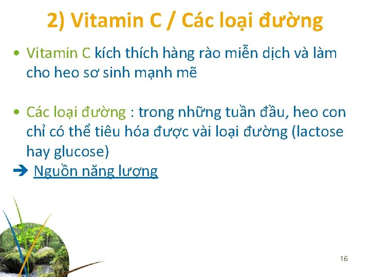 2) Vitamin C / Các loại đường • Vitamin C kích thích hàng rào