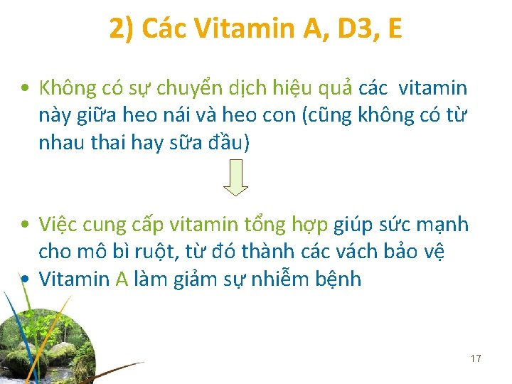 2) Các Vitamin A, D 3, E • Không có sự chuyển dịch hiệu