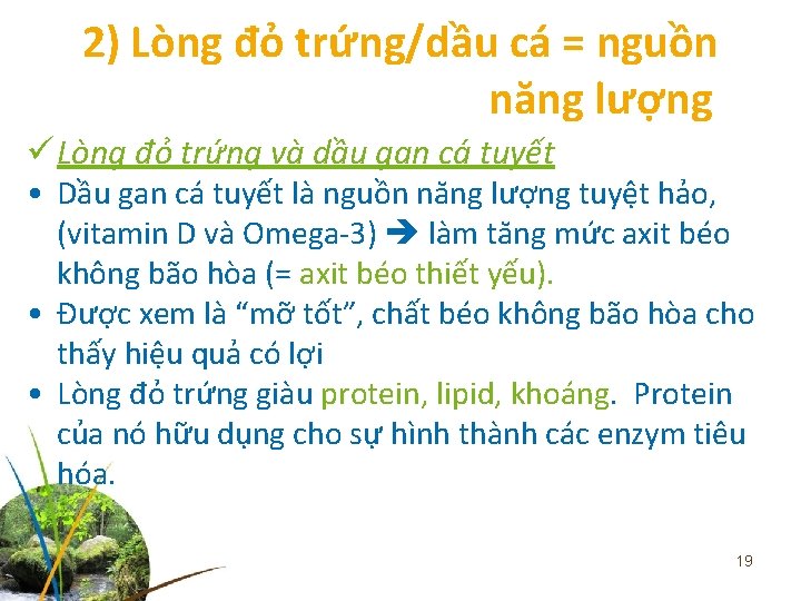 2) Lòng đỏ trứng/dầu cá = nguồn năng lượng ü Lòng đỏ trứng và