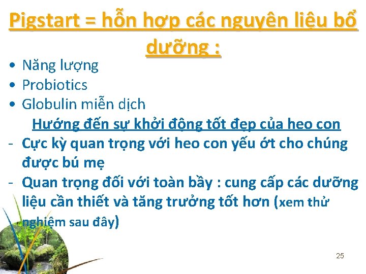 Pigstart = hỗn hợp các nguyên liệu bổ dưỡng : • Năng lượng •