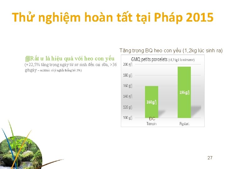 Thử nghiệm hoàn tất tại Pháp 2015 Tăng trọng BQ heo con yếu (1,