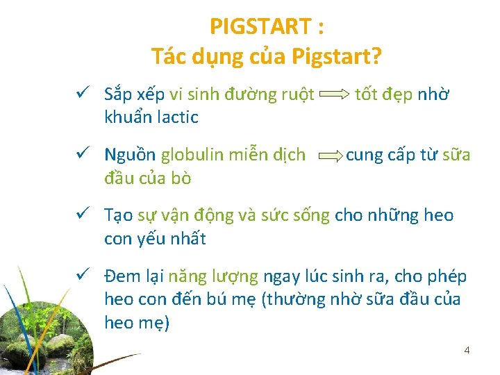 PIGSTART : Tác dụng của Pigstart? ü Sắp xếp vi sinh đường ruột tốt