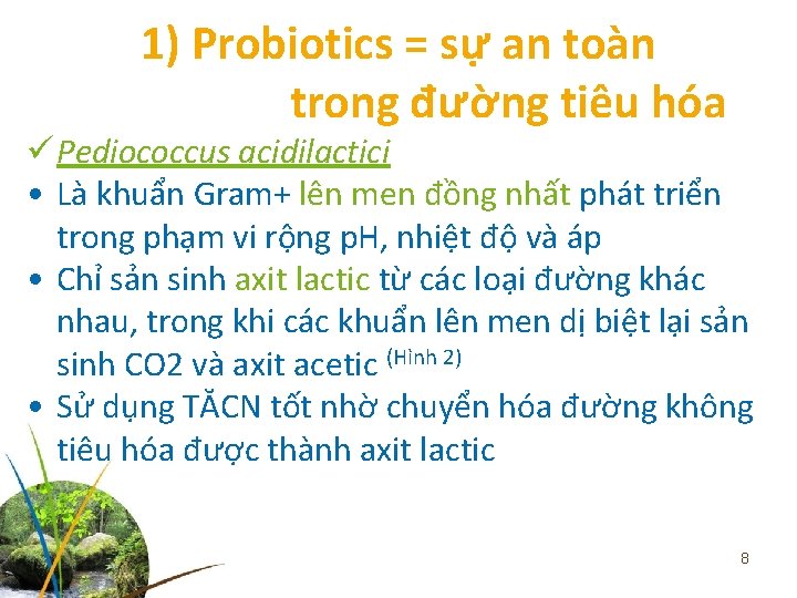 1) Probiotics = sự an toàn trong đường tiêu hóa ü Pediococcus acidilactici •