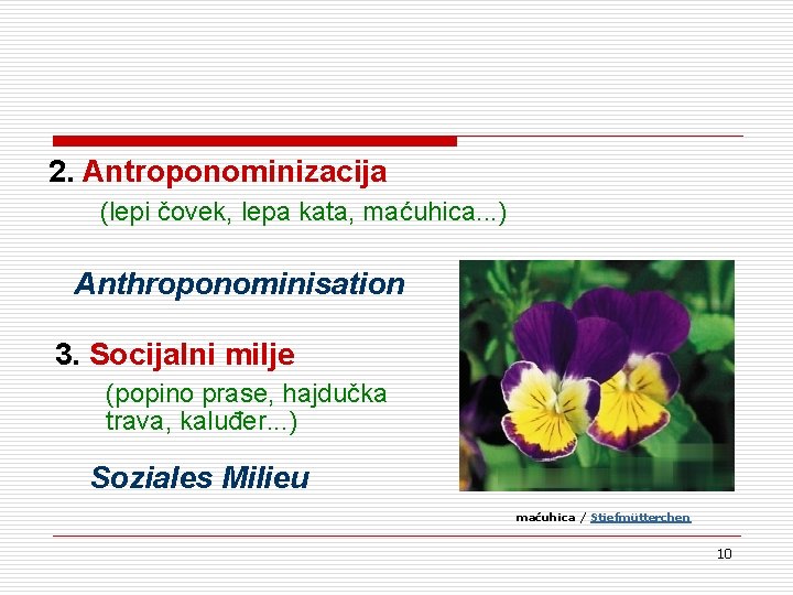 2. Antroponominizacija (lepi čovek, lepa kata, maćuhica. . . ) Anthroponominisation 3. Socijalni milje 2. Antroponominizacija (lepi čovek, lepa kata, maćuhica. . . ) Anthroponominisation 3. Socijalni milje