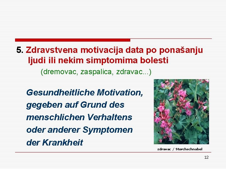 5. Zdravstvena motivacija data po ponašanju ljudi ili nekim simptomima bolesti (dremovac, zaspalica, zdravac. 5. Zdravstvena motivacija data po ponašanju ljudi ili nekim simptomima bolesti (dremovac, zaspalica, zdravac.