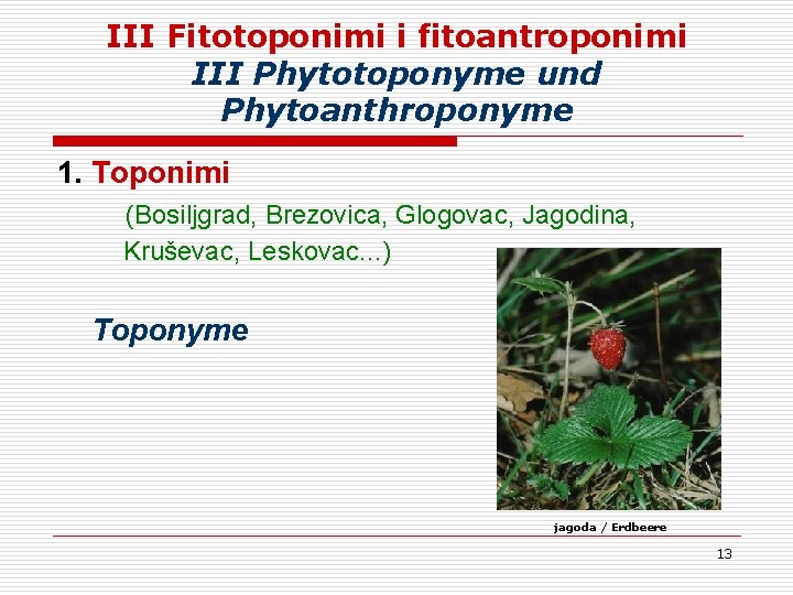 III Fitotoponimi i fitoantroponimi III Phytotoponyme und Phytoanthroponyme 1. Toponimi (Bosiljgrad, Brezovica, Glogovac, Jagodina, III Fitotoponimi i fitoantroponimi III Phytotoponyme und Phytoanthroponyme 1. Toponimi (Bosiljgrad, Brezovica, Glogovac, Jagodina,