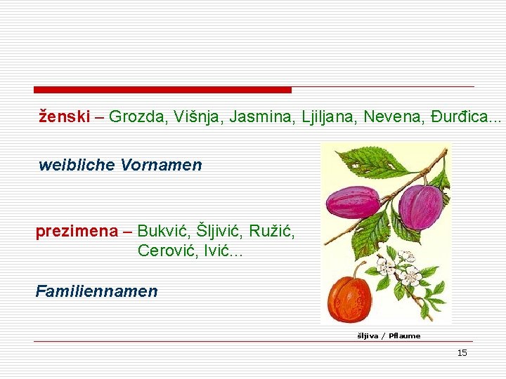 ženski – Grozda, Višnja, Jasmina, Ljiljana, Nevena, Đurđica. . . weibliche Vornamen prezimena – ženski – Grozda, Višnja, Jasmina, Ljiljana, Nevena, Đurđica. . . weibliche Vornamen prezimena –