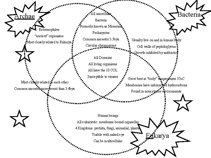Bacteria All unicellular Archae Bacteria Extremophiles “ancient” organisms Most closely related to Eukarya Formerly