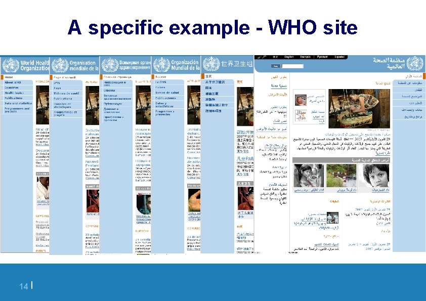 A specific example - WHO site 14 | 