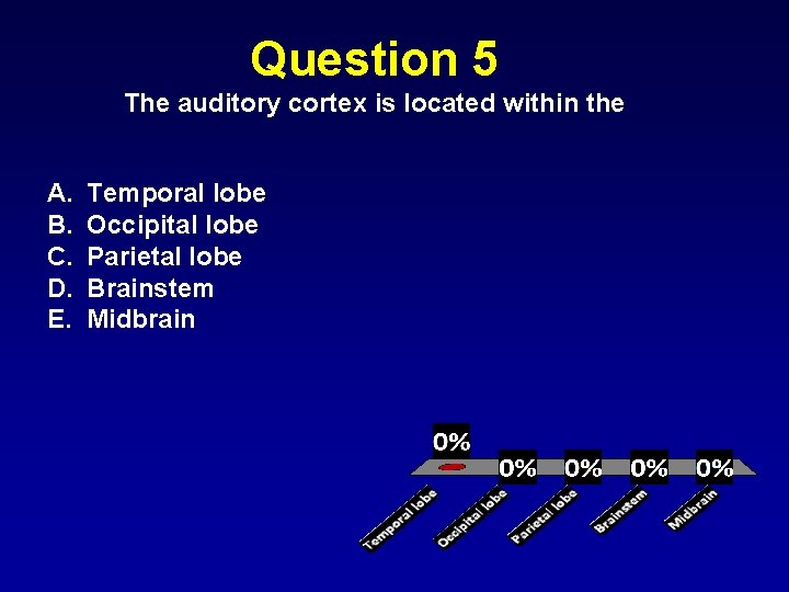 Question 5 The auditory cortex is located within the A. B. C. D. E.