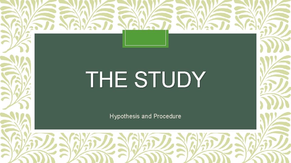 THE STUDY Hypothesis and Procedure 