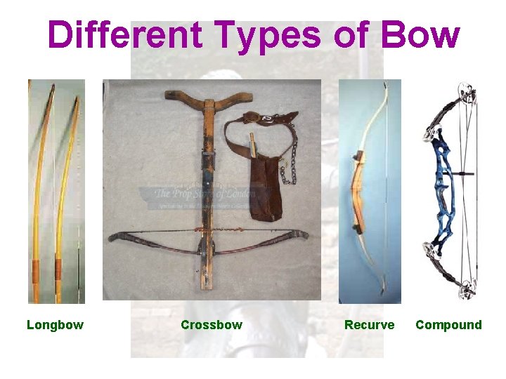 Different Types of Bow Longbow Crossbow Recurve Compound 