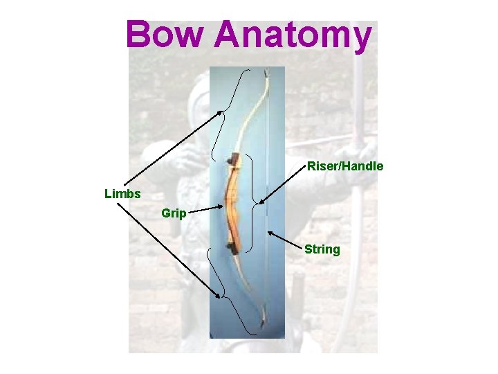 Bow Anatomy Riser/Handle Limbs Grip String 