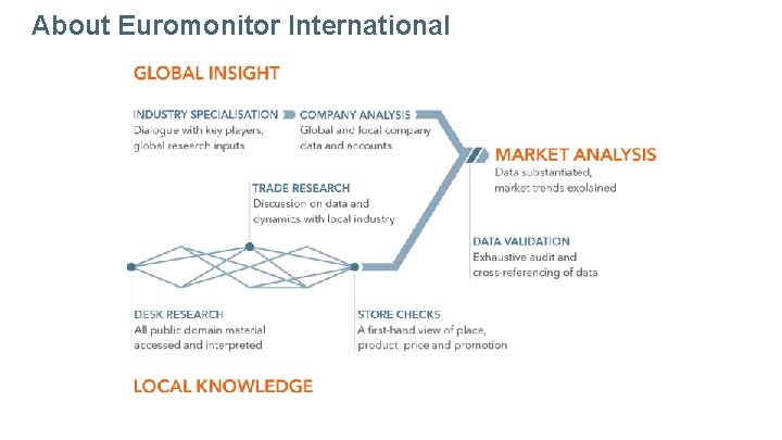 About Euromonitor International 