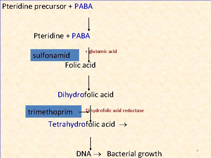 Pteridine precursor + PABA Pteridine + PABA + glutamic acid sulfonamid Folic acid Dihydrofolic