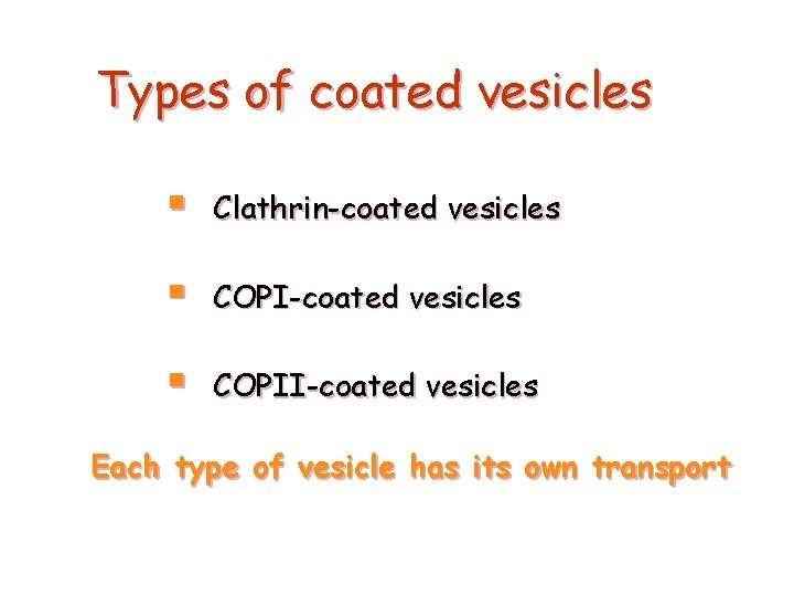 Types of coated vesicles § Clathrin-coated vesicles § COPII-coated vesicles Each type of vesicle