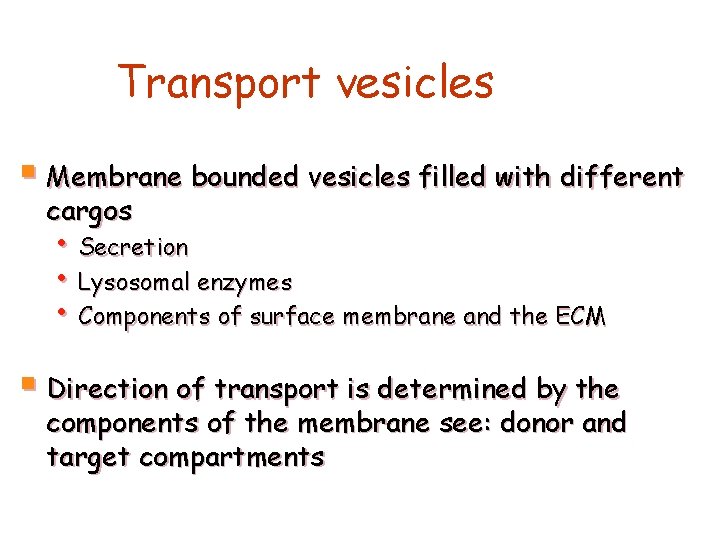 Transport vesicles § Membrane bounded vesicles filled with different cargos • Secretion • Lysosomal