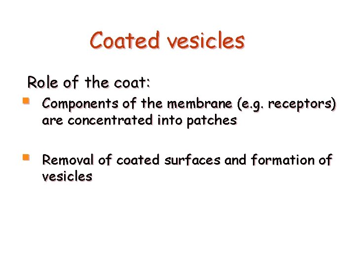 Coated vesicles Role of the coat: § Components of the membrane (e. g. receptors)