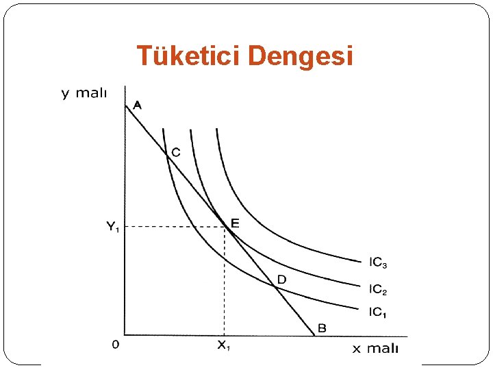 Tüketici Dengesi 