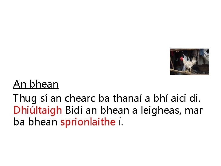 An bhean Thug sí an chearc ba thanaí a bhí aici di. Dhiúltaigh Bidí