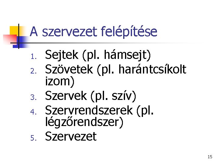 A szervezet felépítése 1. 2. 3. 4. 5. Sejtek (pl. hámsejt) Szövetek (pl. harántcsíkolt