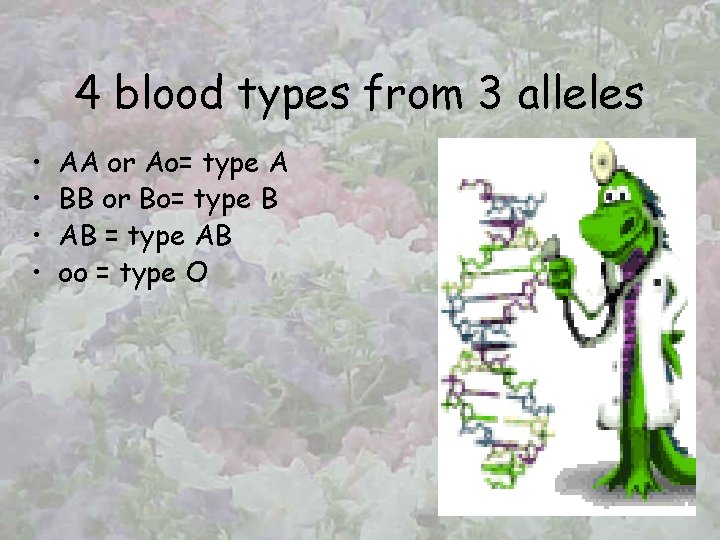 4 blood types from 3 alleles • • AA or Ao= type A BB