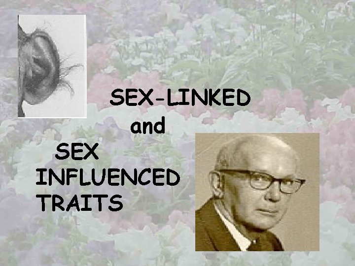 SEX-LINKED and SEX INFLUENCED TRAITS 