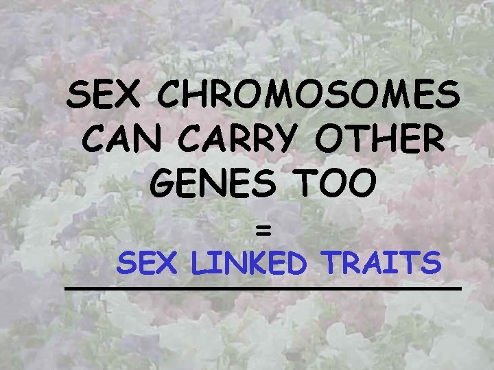 SEX CHROMOSOMES CAN CARRY OTHER GENES TOO = SEX LINKED TRAITS _________ 
