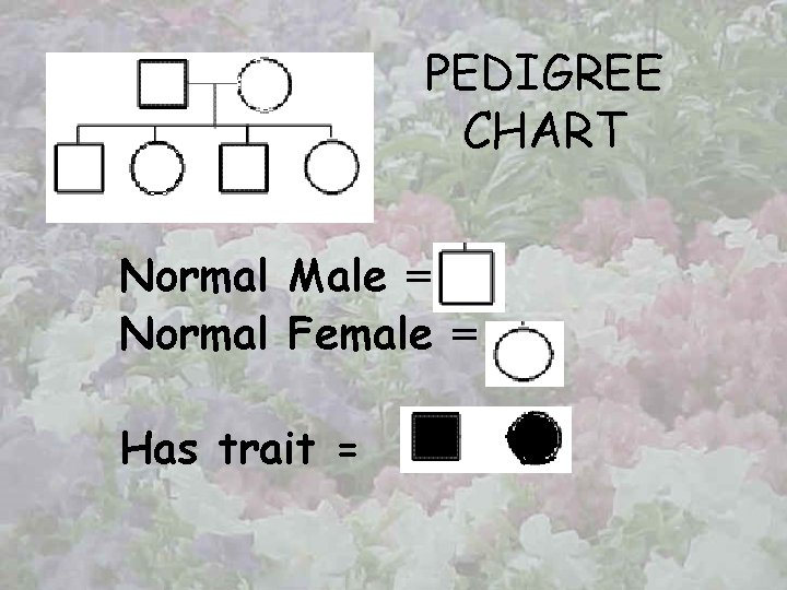 PEDIGREE CHART Normal Male = Normal Female = Has trait = 