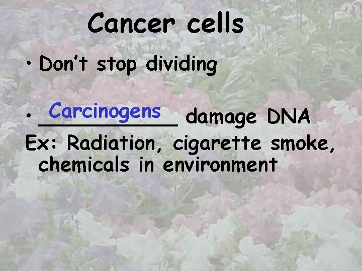 Cancer cells • Don’t stop dividing Carcinogens damage DNA • ______ Ex: Radiation, cigarette