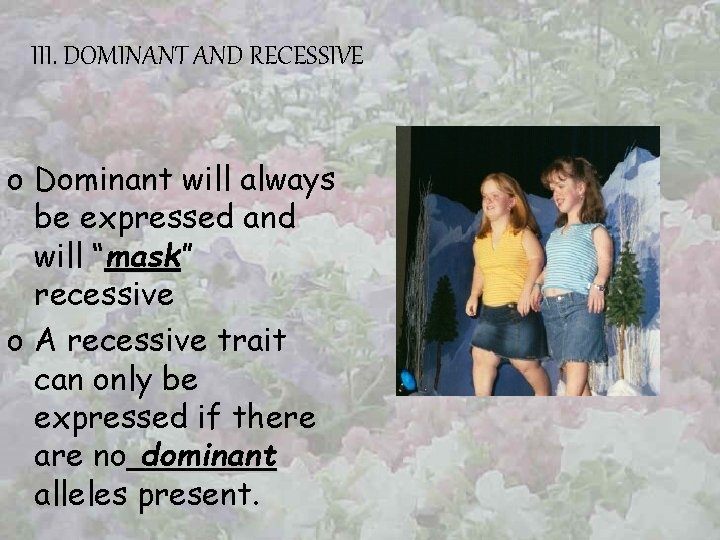 III. DOMINANT AND RECESSIVE o Dominant will always be expressed and will “mask” mask