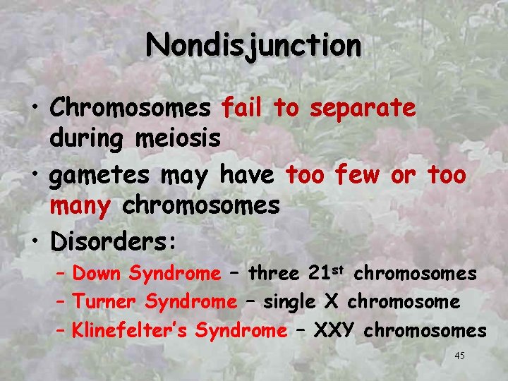 Nondisjunction • Chromosomes fail to separate during meiosis • gametes may have too few