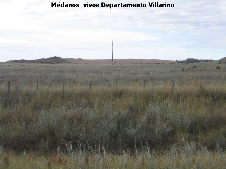 Médanos vivos Departamento Villarino 