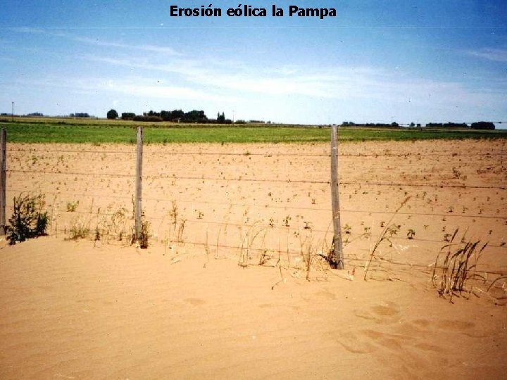 Erosión eólica la Pampa 