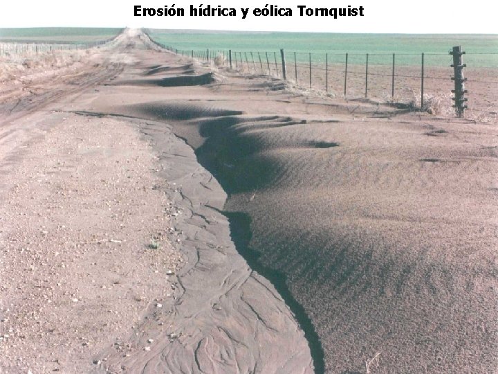 Erosión hídrica y eólica Tornquist 