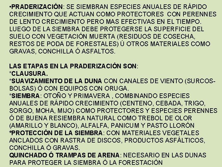  • PRADERIZACIÓN: SE SIEMBRAN ESPECIES ANUALES DE RÁPIDO CRECIMIENTO QUE ACTUAN COMO PROTECTORES