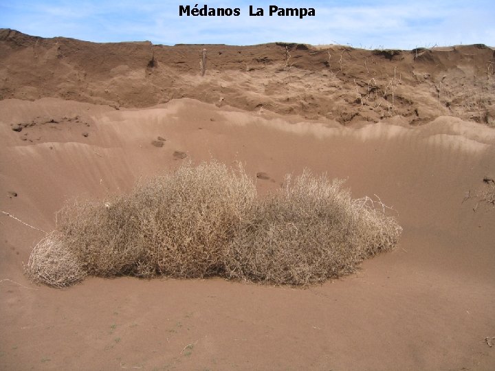 Médanos La Pampa 