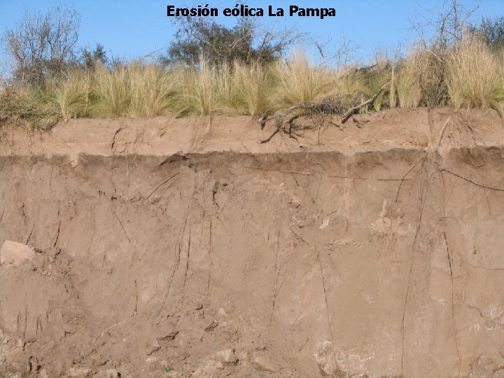 Erosión eólica La Pampa 