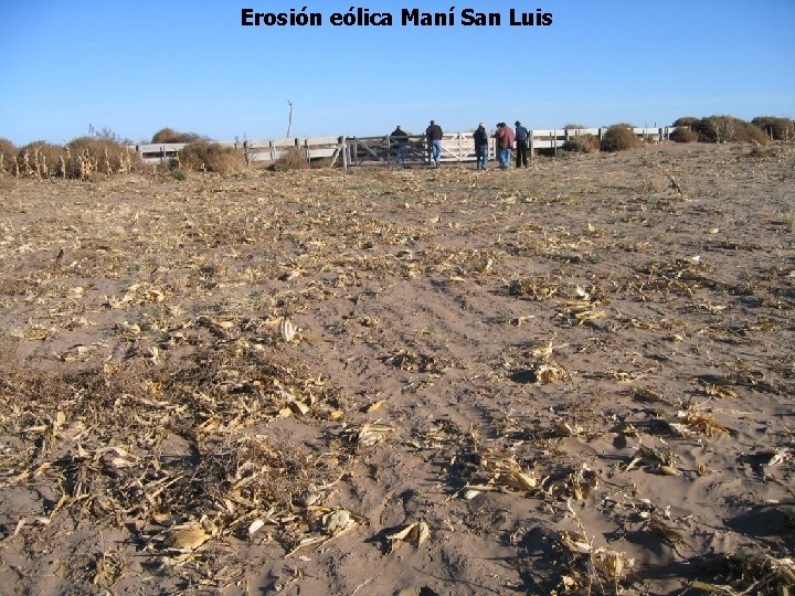 Erosión eólica Maní San Luis 