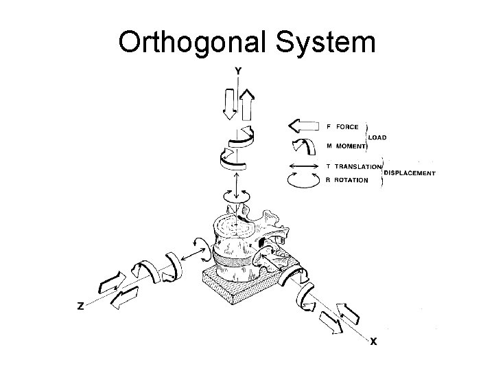 Orthogonal System 