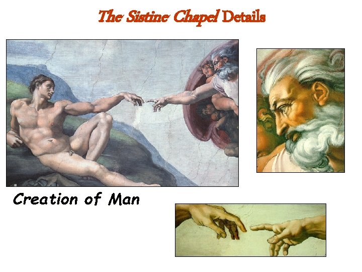 The Sistine Chapel Details Creation of Man 