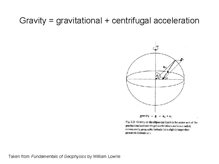 Gravity = gravitational + centrifugal acceleration Taken from Fundamentals of Geophysics by William Lowrie