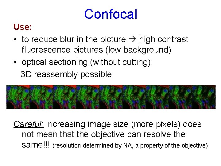 Bringing Light into the chaos a general introduction