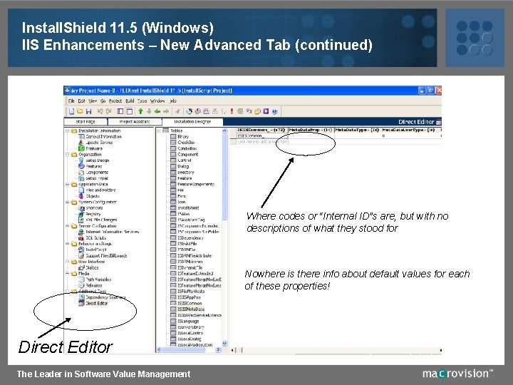 Install. Shield 11. 5 (Windows) IIS Enhancements – New Advanced Tab (continued) Where codes