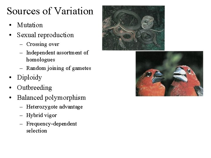 Sources of Variation • Mutation • Sexual reproduction – Crossing over – Independent assortment