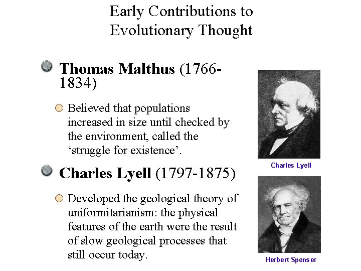 Early Contributions to Evolutionary Thought Thomas Malthus (17661834) Believed that populations increased in size