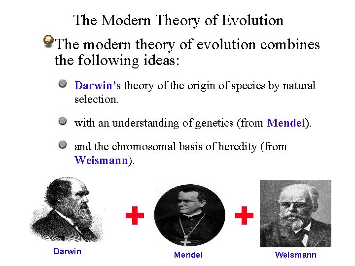 The Modern Theory of Evolution The modern theory of evolution combines the following ideas: